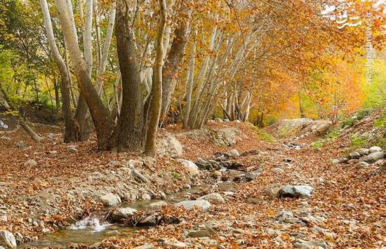 طبیعت پاییزی طارم در استان زنجان