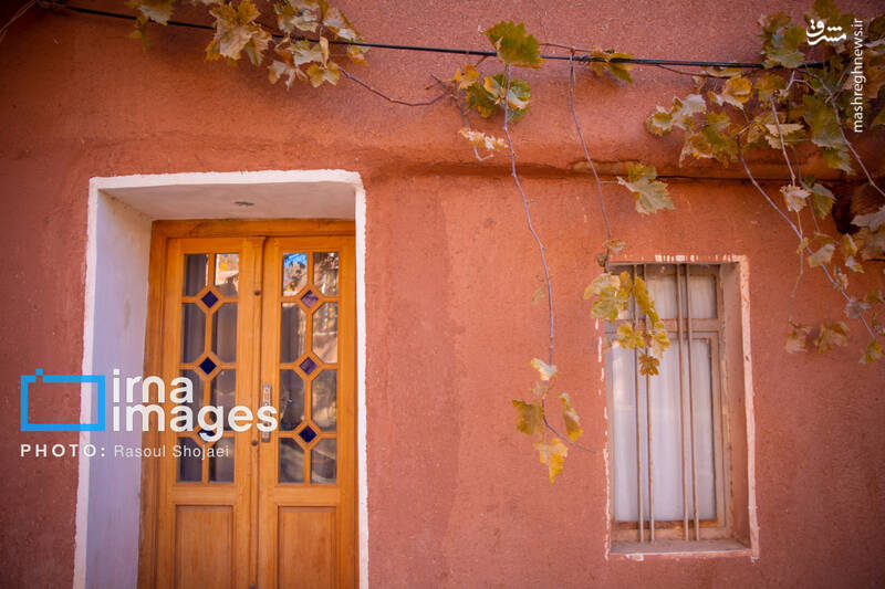 عکس / پاییز بی‌عابر ابیانه 30