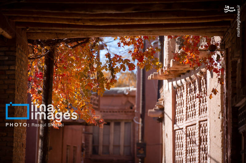 عکس / پاییز بی‌عابر ابیانه 28