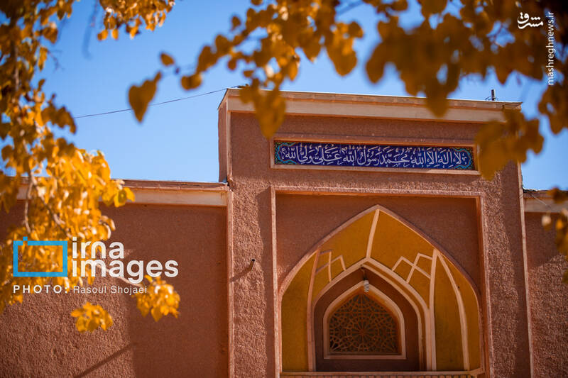 عکس / پاییز بی‌عابر ابیانه 27