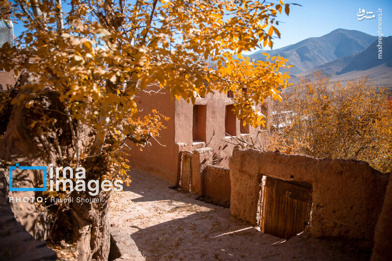 عکس / پاییز بی‌عابر ابیانه 25