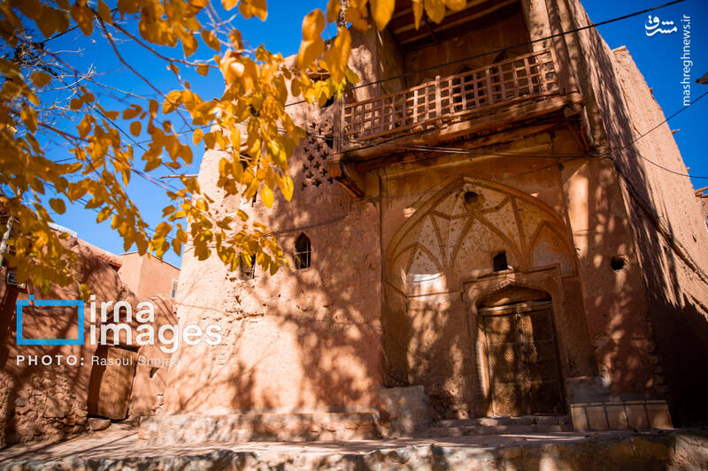 عکس / پاییز بی‌عابر ابیانه 24