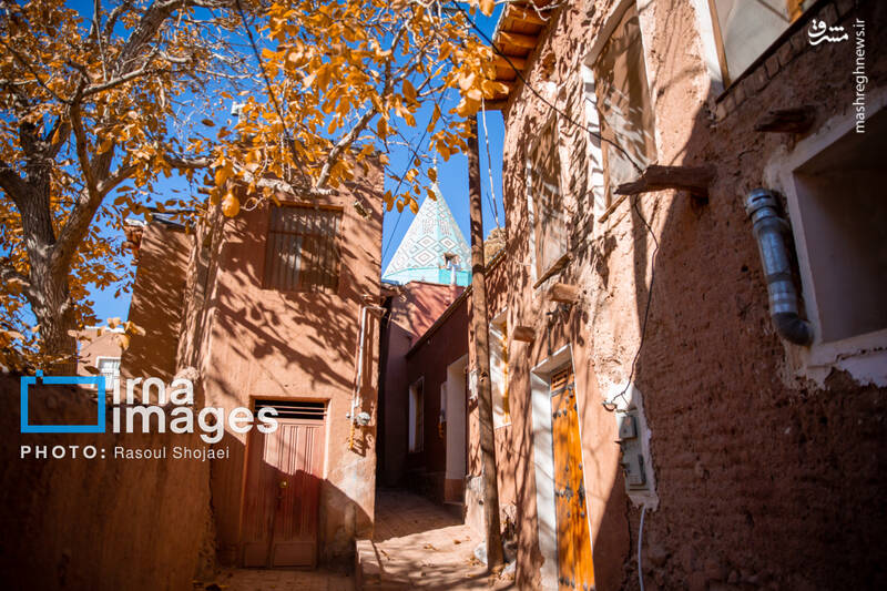 عکس / پاییز بی‌عابر ابیانه 23