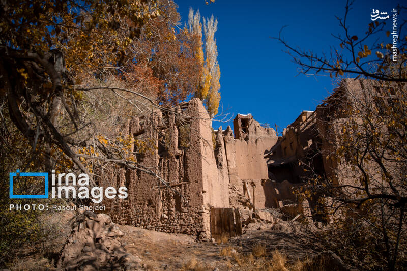 عکس / پاییز بی‌عابر ابیانه 21