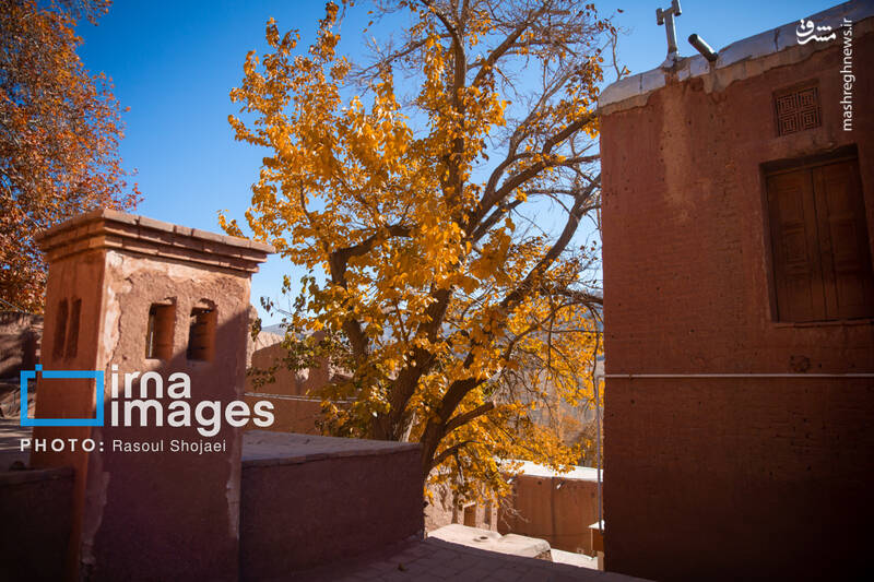 عکس / پاییز بی‌عابر ابیانه 18