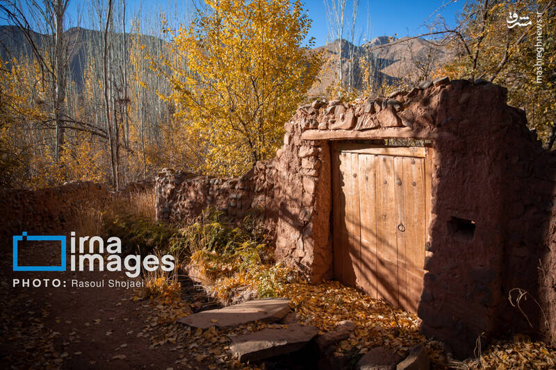 عکس / پاییز بی‌عابر ابیانه 17