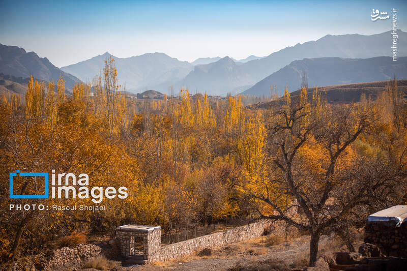 عکس / پاییز بی‌عابر ابیانه 16