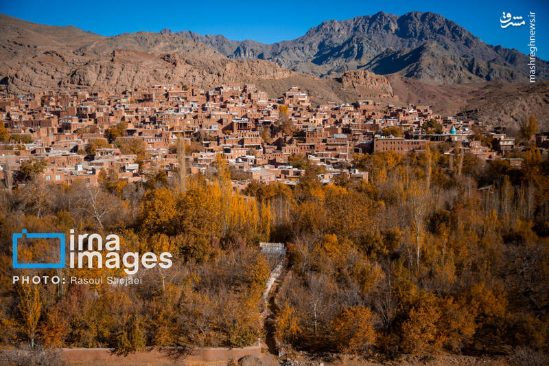 عکس / پاییز بی‌عابر ابیانه 15