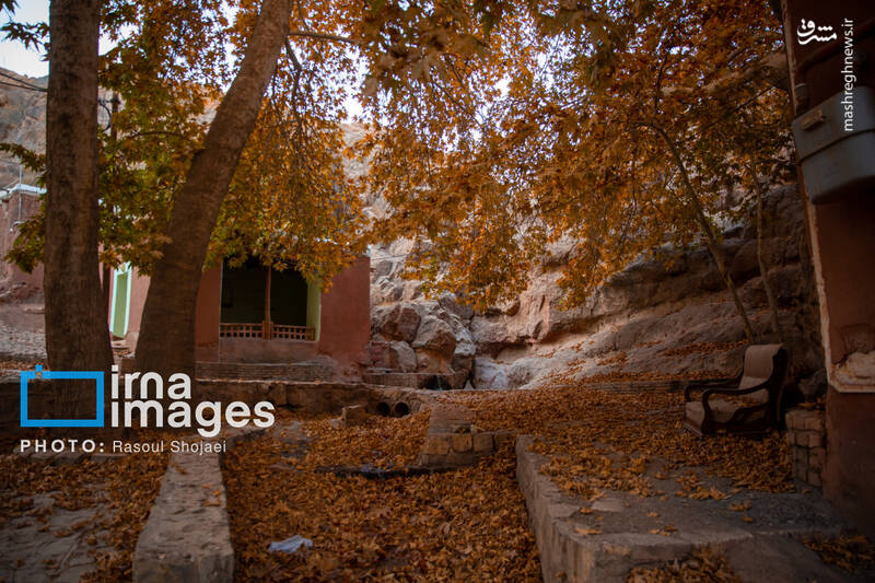 عکس / پاییز بی‌عابر ابیانه 13