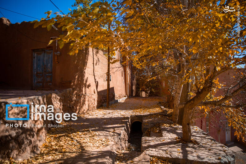 عکس / پاییز بی‌عابر ابیانه 10