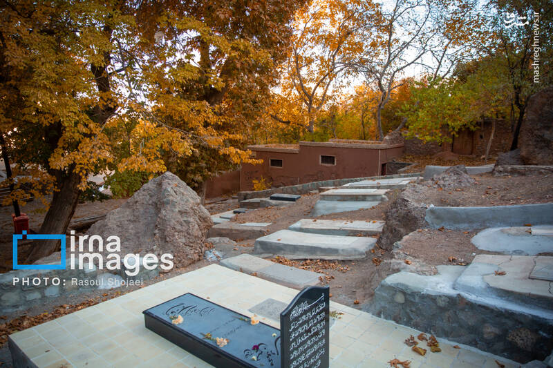 عکس / پاییز بی‌عابر ابیانه 9