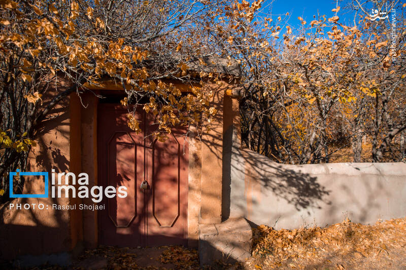 عکس / پاییز بی‌عابر ابیانه 8