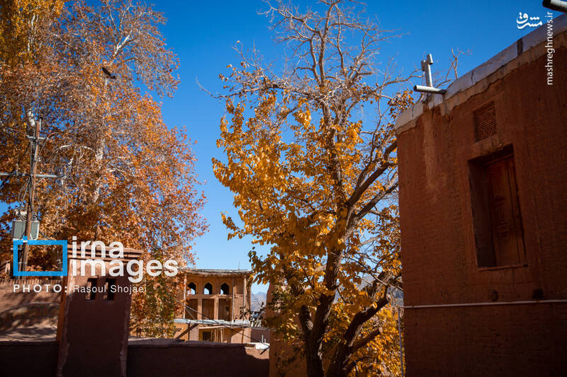 عکس / پاییز بی‌عابر ابیانه 7