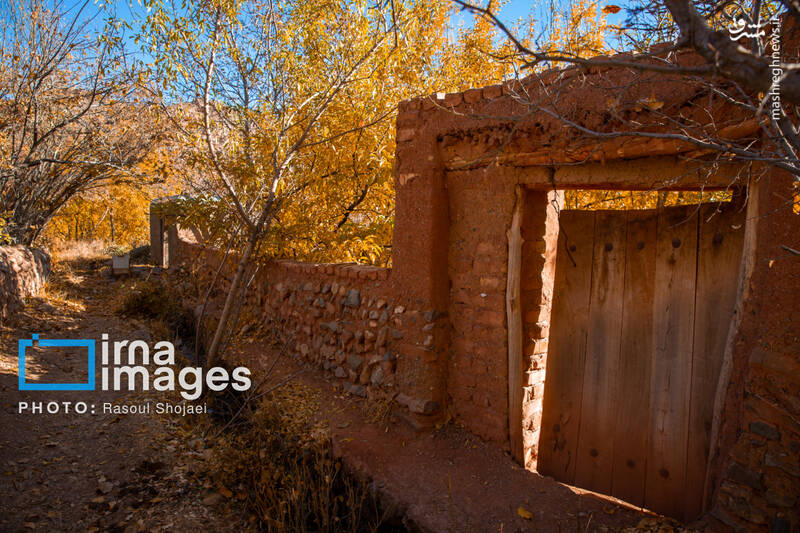 عکس / پاییز بی‌عابر ابیانه 6