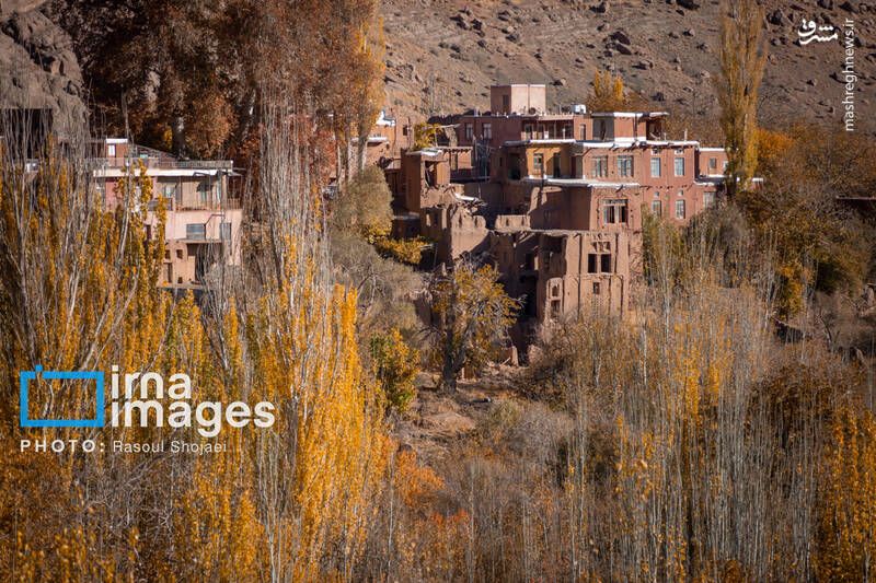 عکس / پاییز بی‌عابر ابیانه 3