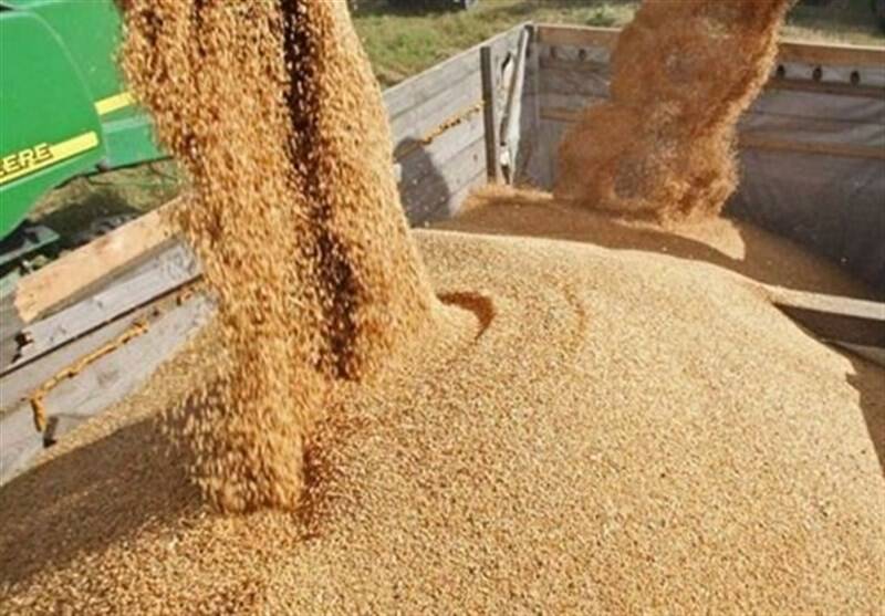 كشاورزي،قيمت،ذرت،تضميني،دانه،جو،جهاد،محصولات