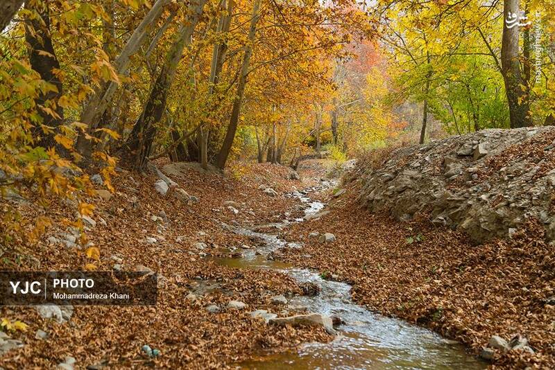 عکس / طبیعت پاییزی طارم در استان زنجان 31