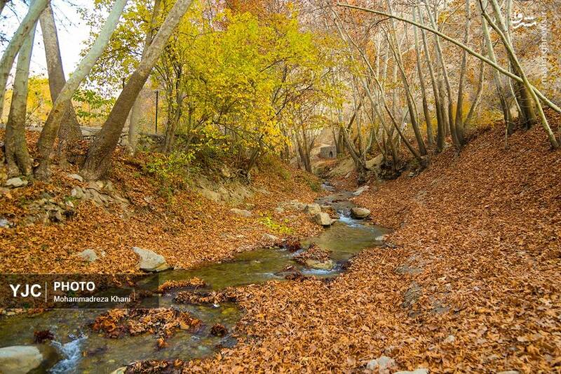 عکس / طبیعت پاییزی طارم در استان زنجان 30