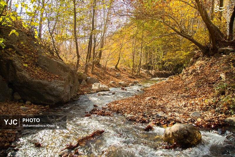 عکس / طبیعت پاییزی طارم در استان زنجان 27