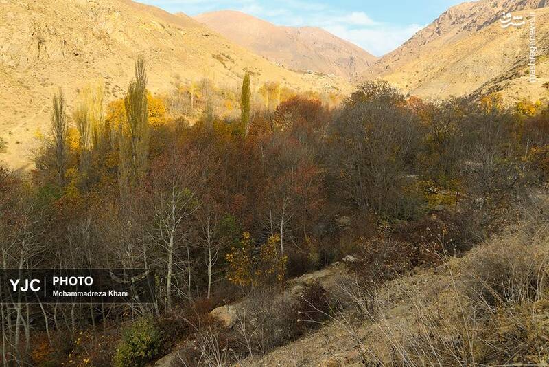 عکس / طبیعت پاییزی طارم در استان زنجان 26