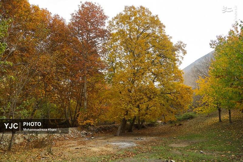 عکس / طبیعت پاییزی طارم در استان زنجان 25