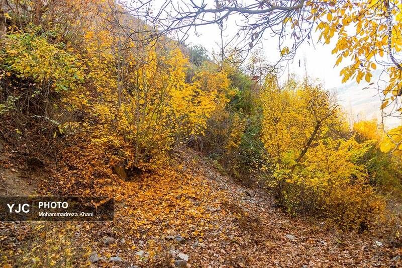 عکس / طبیعت پاییزی طارم در استان زنجان 19