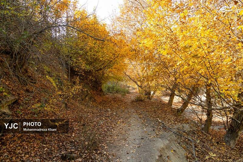 عکس / طبیعت پاییزی طارم در استان زنجان 18