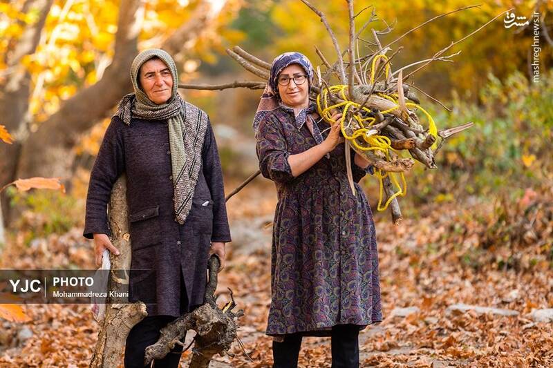 عکس / طبیعت پاییزی طارم در استان زنجان 17