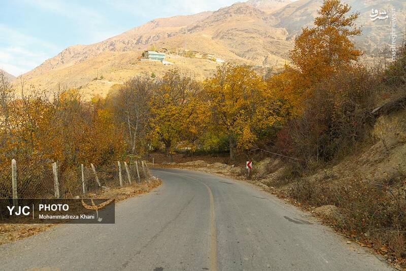 عکس / طبیعت پاییزی طارم در استان زنجان 12