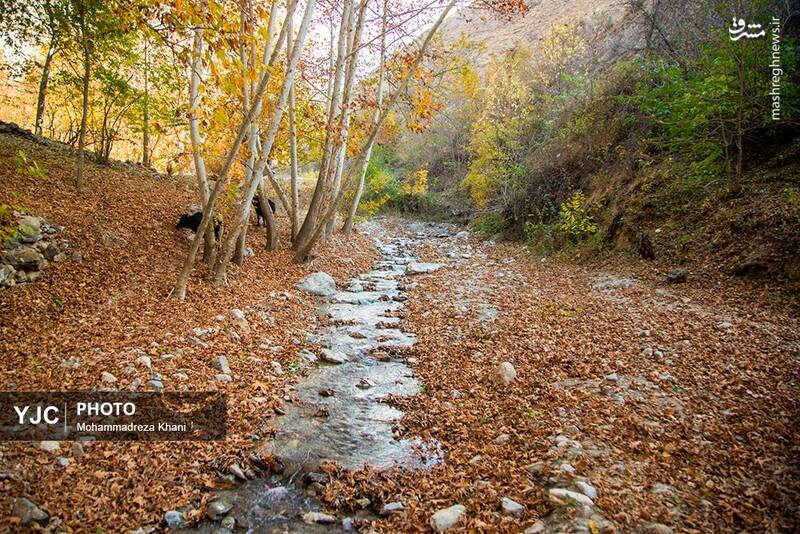 عکس / طبیعت پاییزی طارم در استان زنجان 11