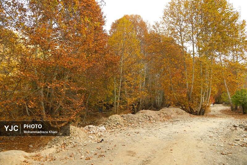 عکس / طبیعت پاییزی طارم در استان زنجان 10