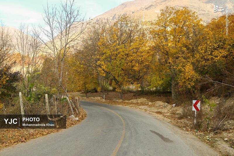عکس / طبیعت پاییزی طارم در استان زنجان 9