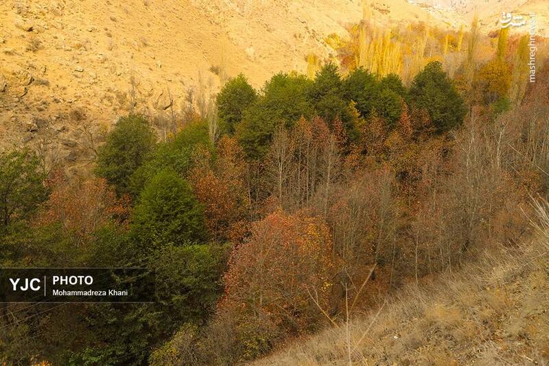 عکس / طبیعت پاییزی طارم در استان زنجان 5