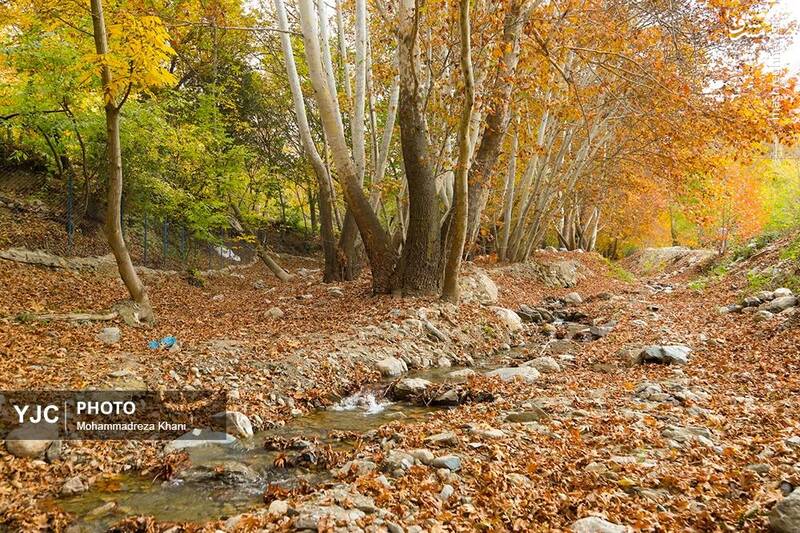 عکس / طبیعت پاییزی طارم در استان زنجان 3