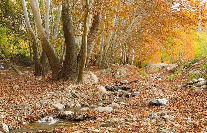 عکس/ طبیعت پاییزی طارم در استان زنجان