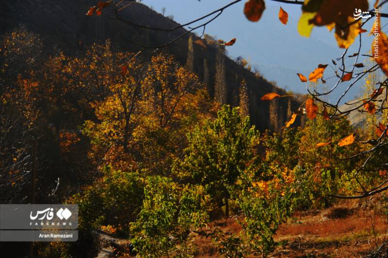 عکس / پاوه زیر چتر رنگ‌های پاییزی 15