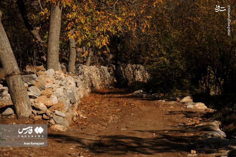 عکس / پاوه زیر چتر رنگ‌های پاییزی 13