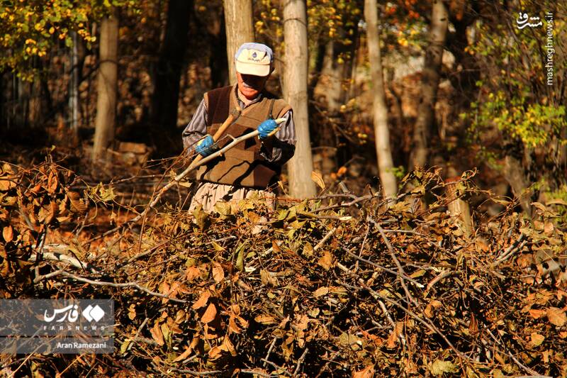 عکس / پاوه زیر چتر رنگ‌های پاییزی 9