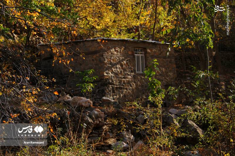 عکس / پاوه زیر چتر رنگ‌های پاییزی 7