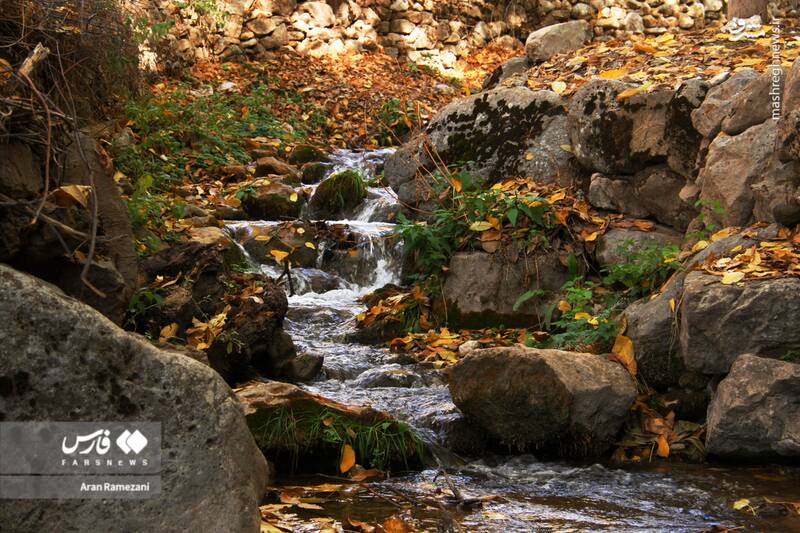 عکس / پاوه زیر چتر رنگ‌های پاییزی 6