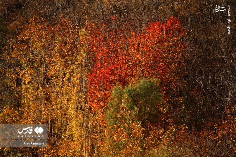 عکس / پاوه زیر چتر رنگ‌های پاییزی 3