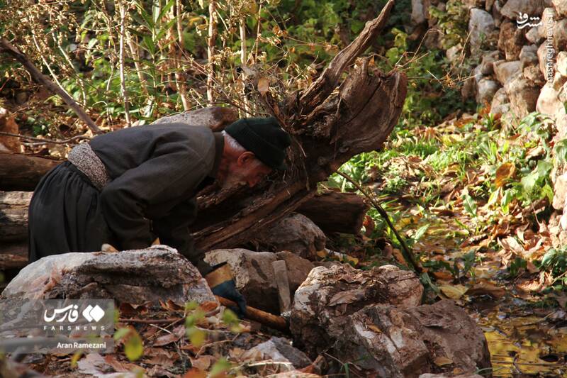 عکس / پاوه زیر چتر رنگ‌های پاییزی 12