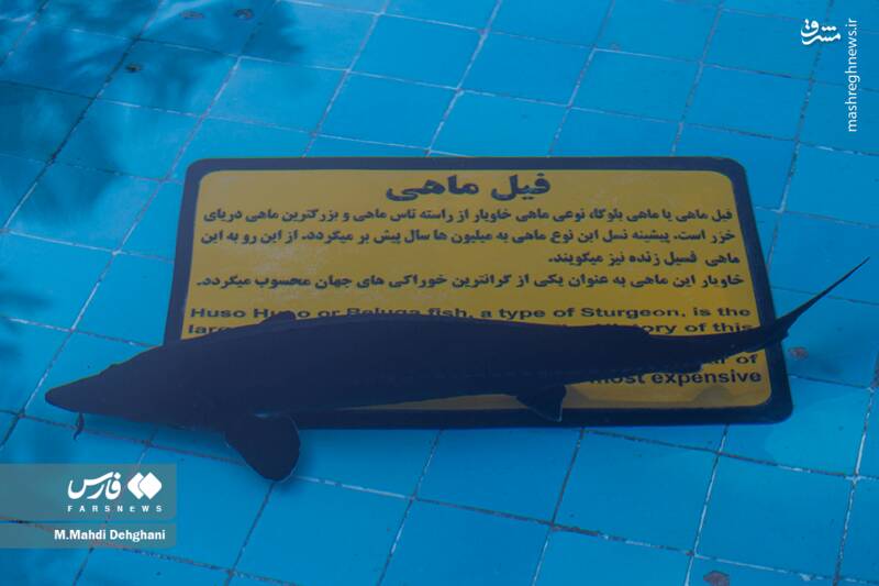 عکس / پردیس موزه‌ای رامسر 16