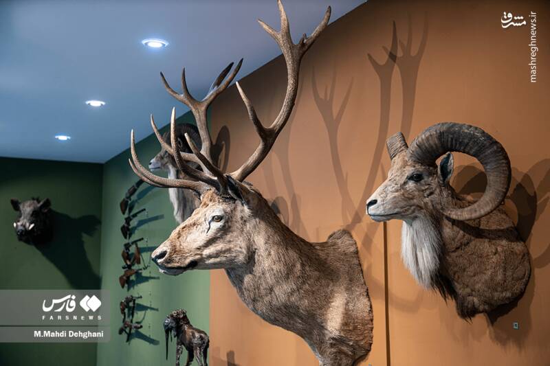 عکس / پردیس موزه‌ای رامسر 7