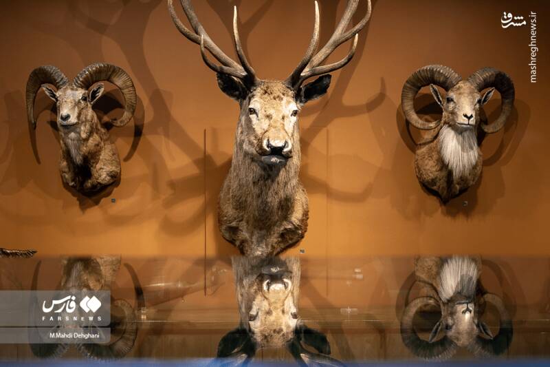 عکس / پردیس موزه‌ای رامسر 23