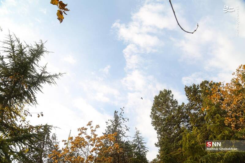 عکس / هوای پاییزی تهران 9