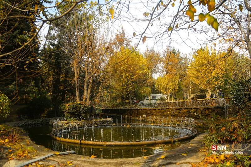 عکس / هوای پاییزی تهران 8