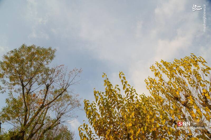 عکس / هوای پاییزی تهران 7