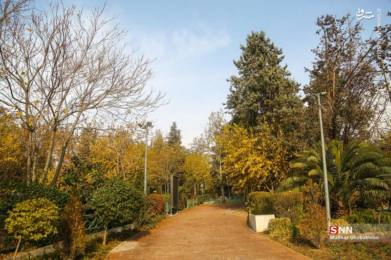 عکس / هوای پاییزی تهران 5