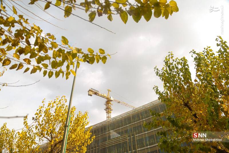 عکس / هوای پاییزی تهران 4